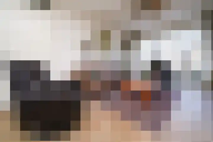 Notenhagen 14 Rotterdam thumbnail 4