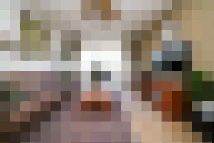 Notenhagen 14 Rotterdam thumbnail 7