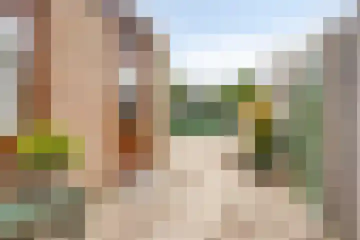 Notenhof 11 Nieuw-Beijerland thumbnail 19