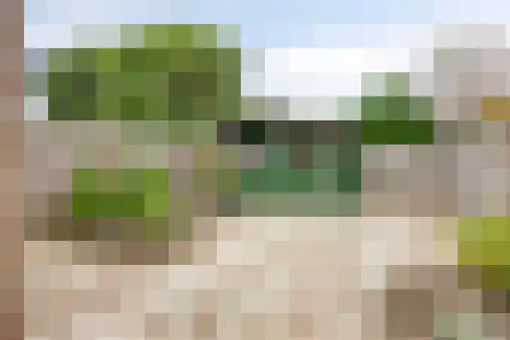 Notenhof 11 Nieuw-Beijerland thumbnail 20