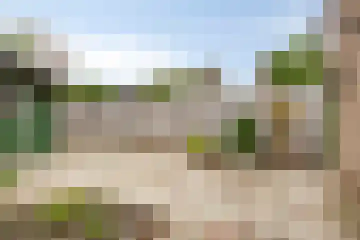 Notenhof 11 Nieuw-Beijerland thumbnail 21