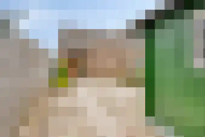 Notenhof 11 Nieuw-Beijerland thumbnail 22