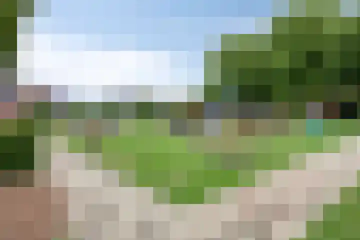 Notenhof 11 Nieuw-Beijerland thumbnail 25