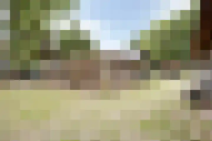 Notenhof 11 Nieuw-Beijerland thumbnail 27