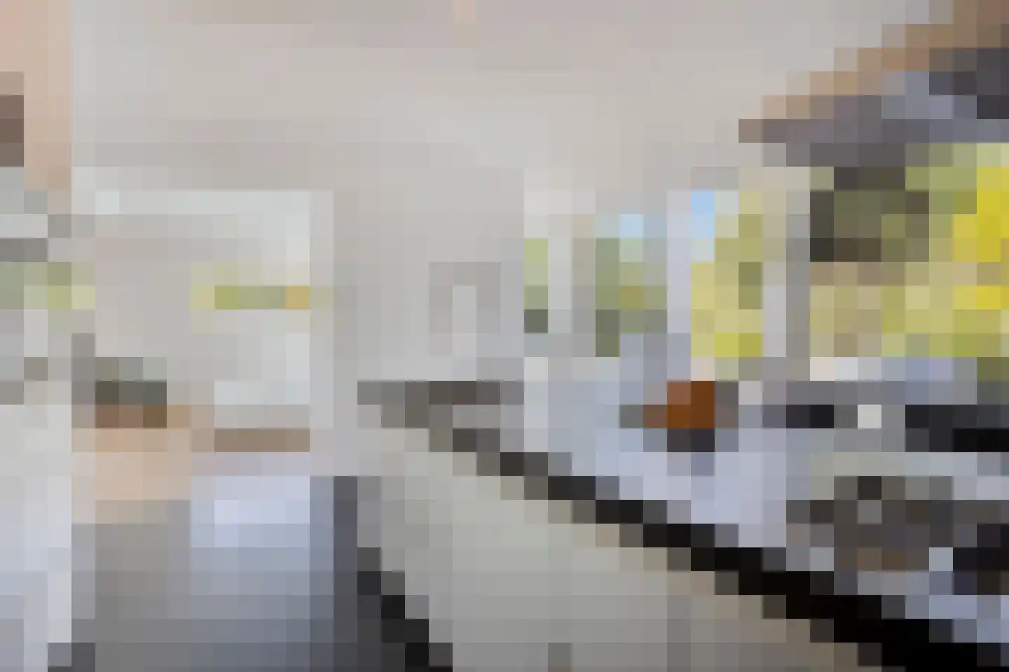 Notenhof 12 Beuningen Gld thumbnail 20