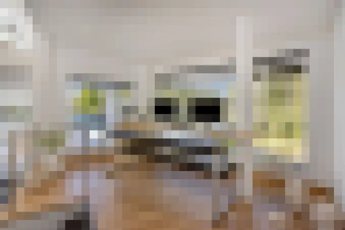 Notenhof 12 Beuningen Gld thumbnail 26