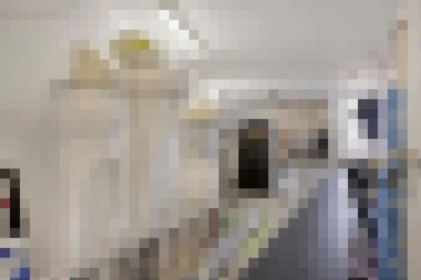 Notenhof 12 Beuningen Gld thumbnail 45