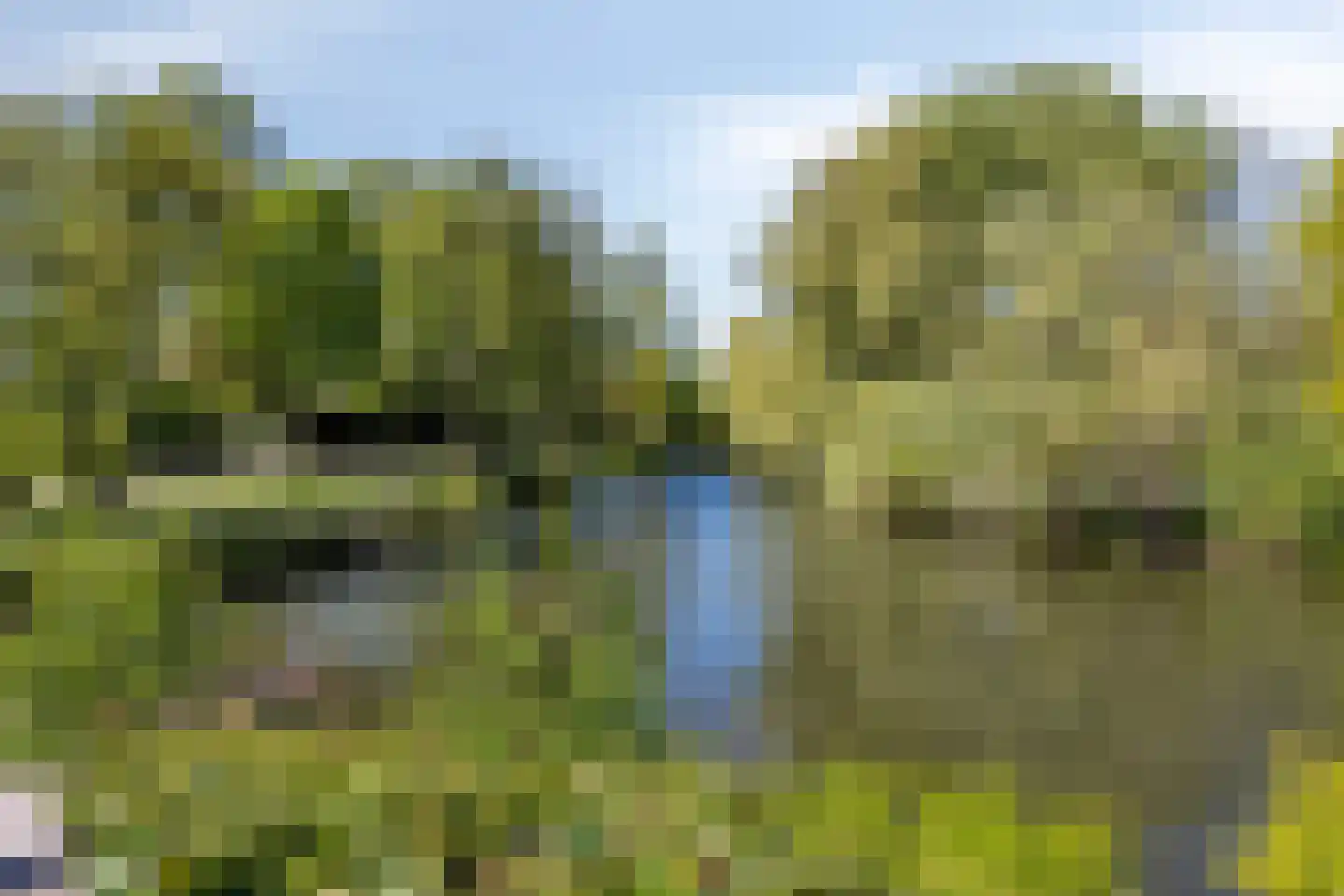 Notenhof 12 Beuningen Gld thumbnail 63