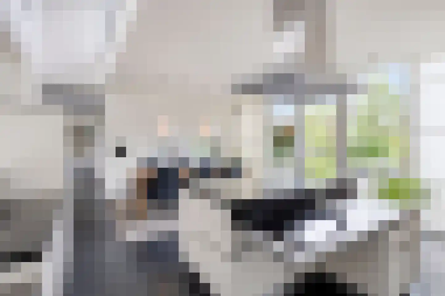 Notenhof 22 Beuningen Gld thumbnail 24