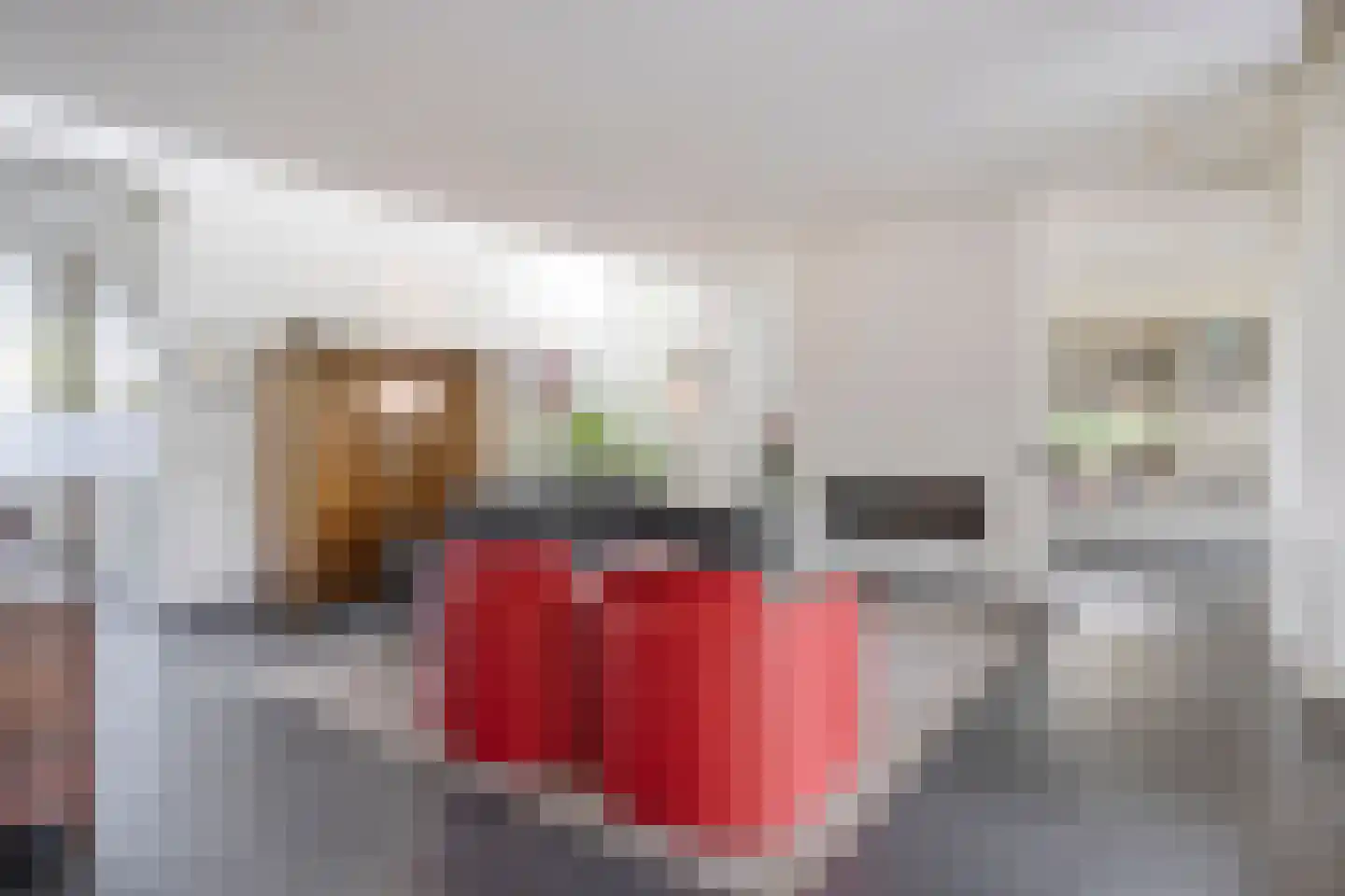 Notenhof 22 Beuningen Gld thumbnail 4