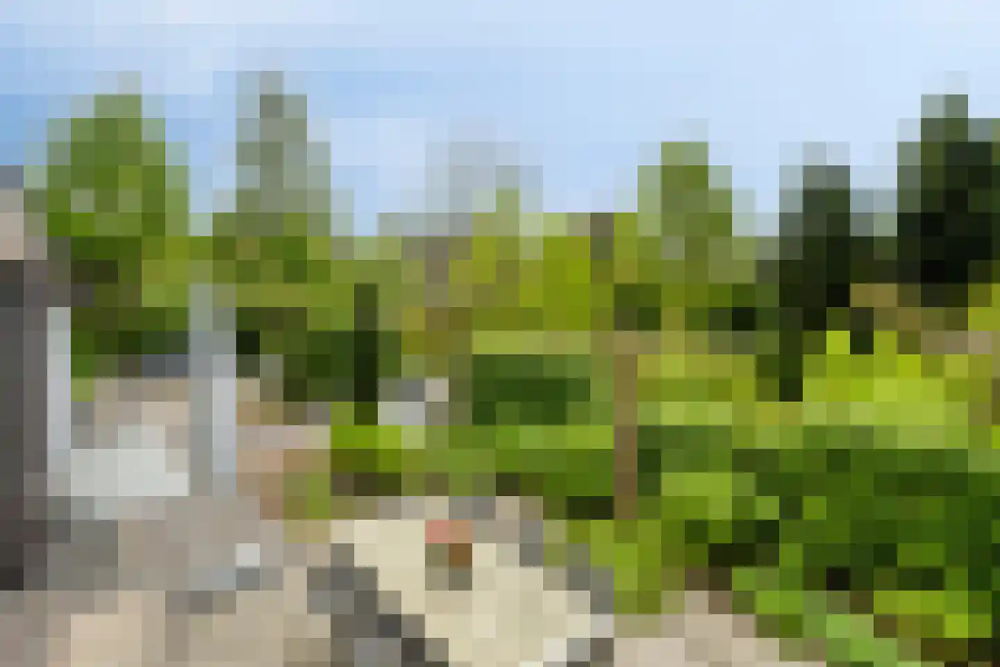 Notenhof 22 Beuningen Gld thumbnail 53