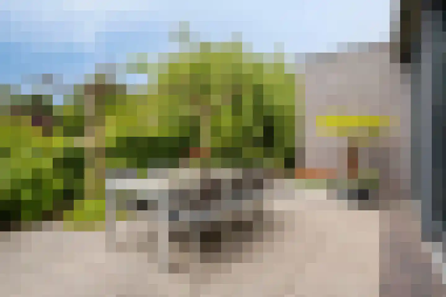 Notenhof 22 Beuningen Gld thumbnail 56