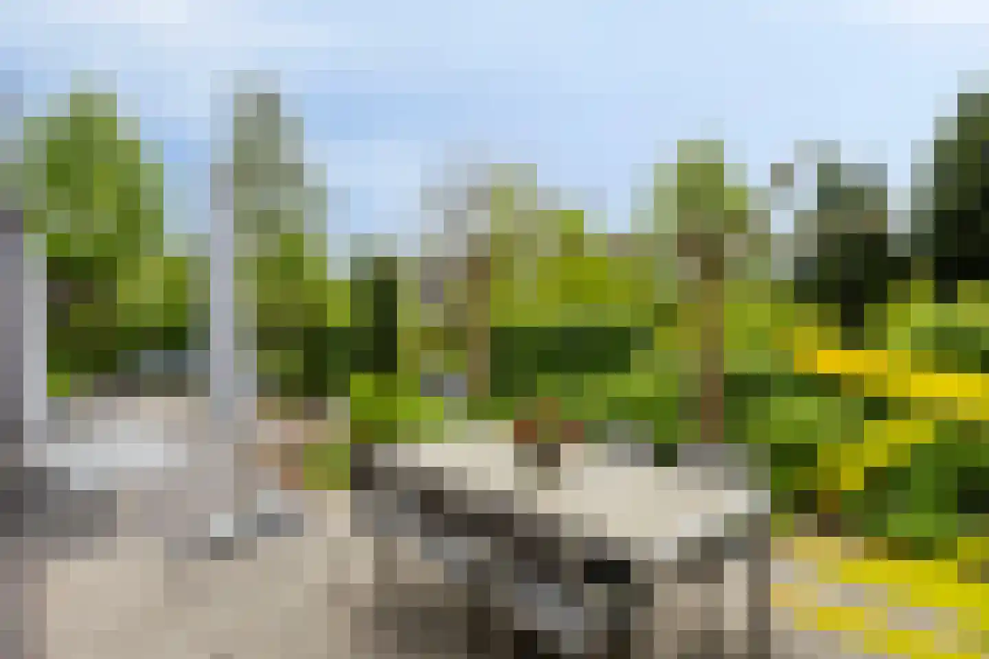 Notenhof 22 Beuningen Gld thumbnail 58