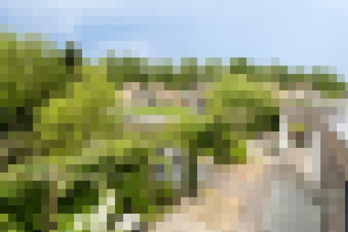 Notenhof 22 Beuningen Gld thumbnail 60
