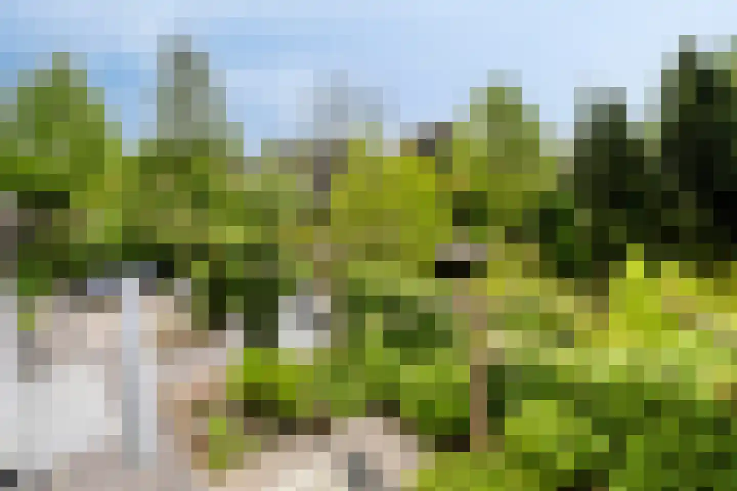 Notenhof 22 Beuningen Gld thumbnail 61