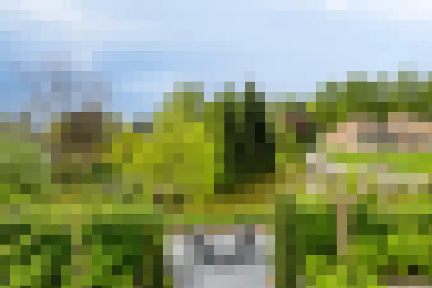 Notenhof 22 Beuningen Gld thumbnail 63
