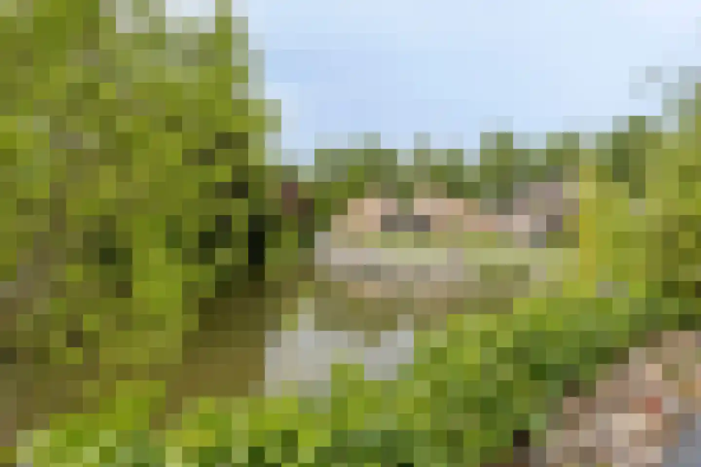 Notenhof 22 Beuningen Gld thumbnail 64