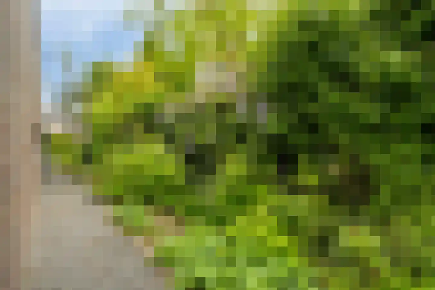 Notenhof 22 Beuningen Gld thumbnail 68