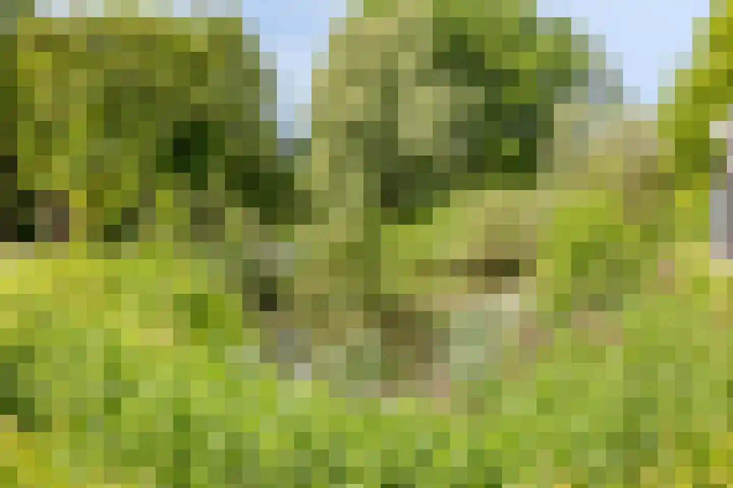 Notenhof 22 Beuningen Gld thumbnail 73