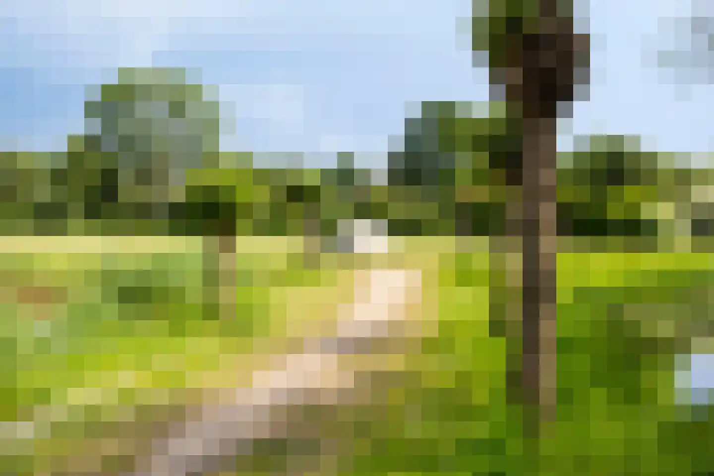 Notenhof 22 Beuningen Gld thumbnail 74