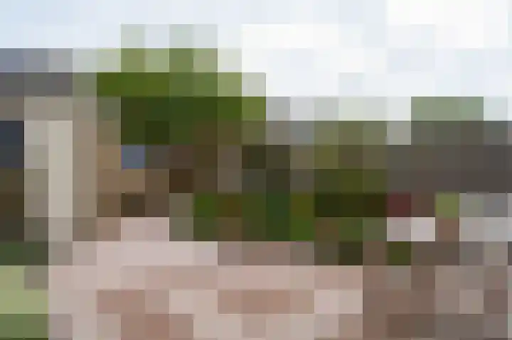 Notenhof 26 Schagen thumbnail 10