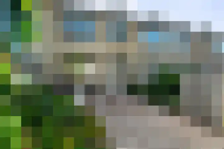 Notenhof 26 Schagen thumbnail 11