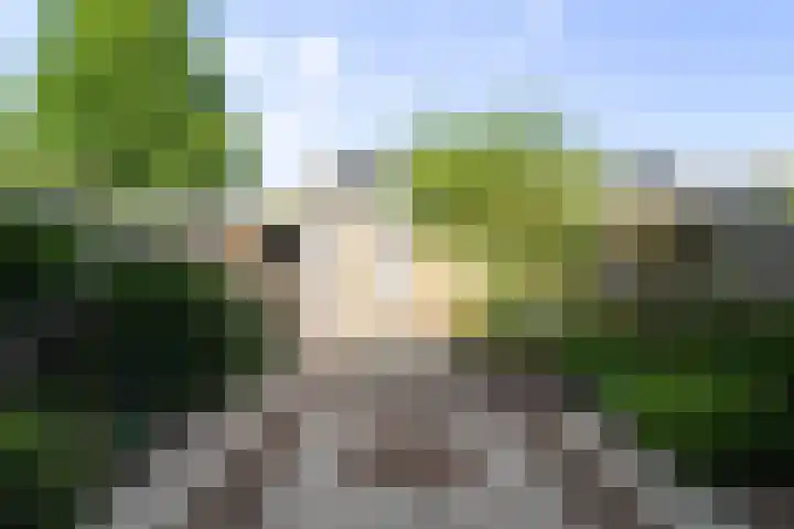 Notenhof 26 Schagen thumbnail 12