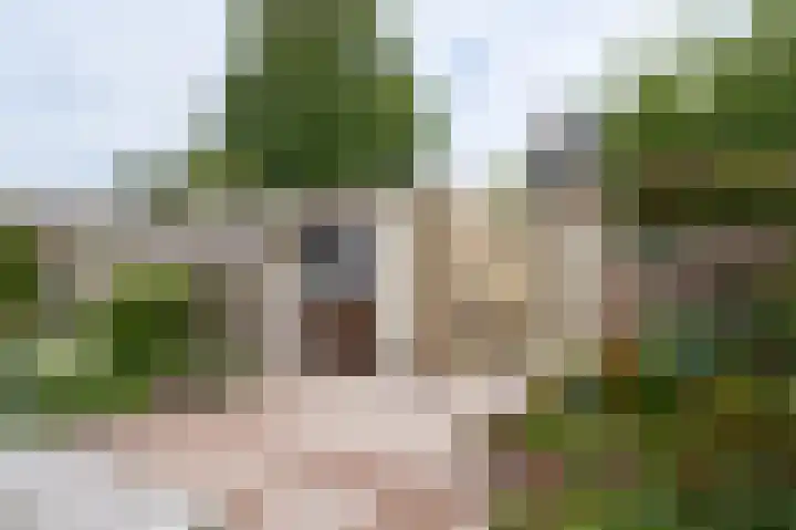 Notenhof 26 Schagen thumbnail 13