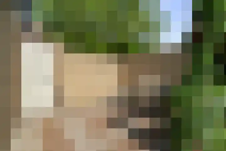 Notenhof 26 Schagen thumbnail 14