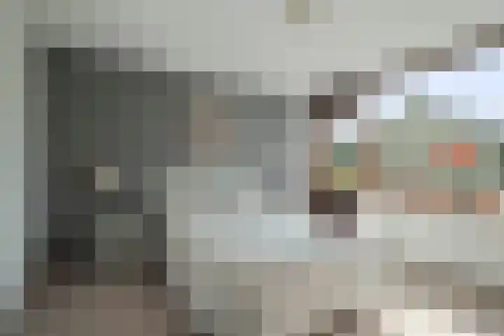 Notenhof 26 Schagen thumbnail 17