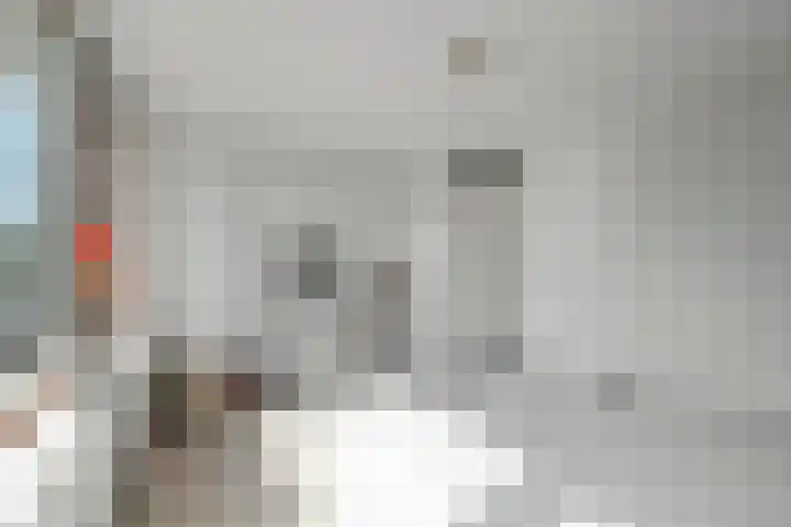 Notenhof 26 Schagen thumbnail 18