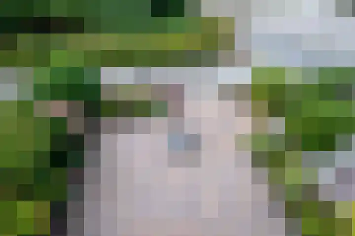 Notenhof 26 Schagen thumbnail 20