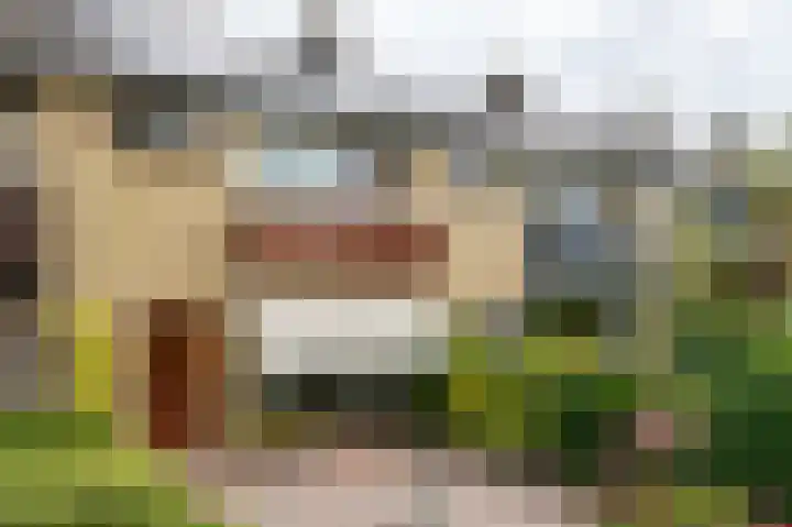 Notenhof 26 Schagen thumbnail 30