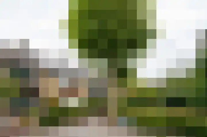 Notenhof 26 Schagen thumbnail 31