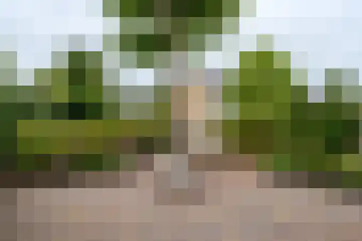 Notenhof 26 Schagen thumbnail 32
