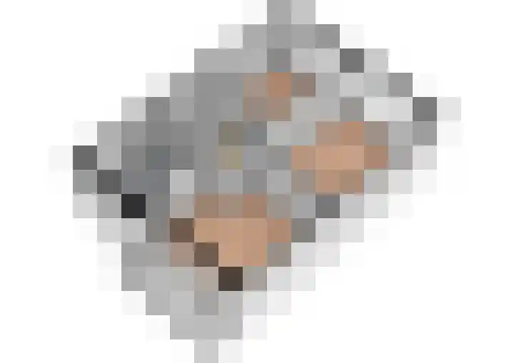 Notenhof 26 Schagen thumbnail 38