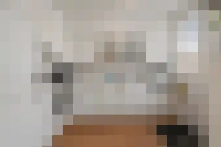 Notenhof 26 Schagen thumbnail 8