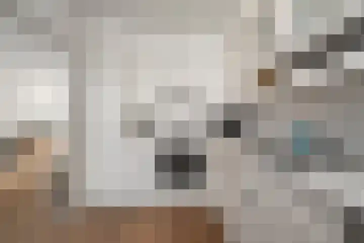 Notenhof 26 Schagen thumbnail 9