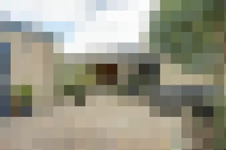 Notenhof 30 Schagen thumbnail 14