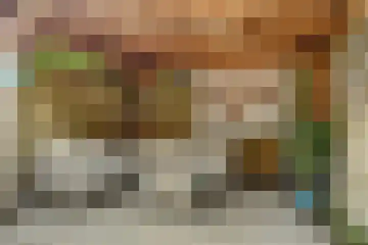 Notenhof 30 Schagen thumbnail 15