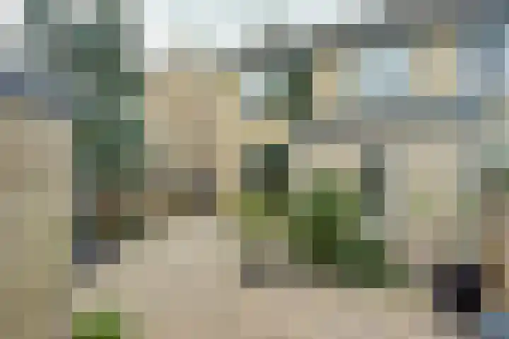 Notenhof 30 Schagen thumbnail 16