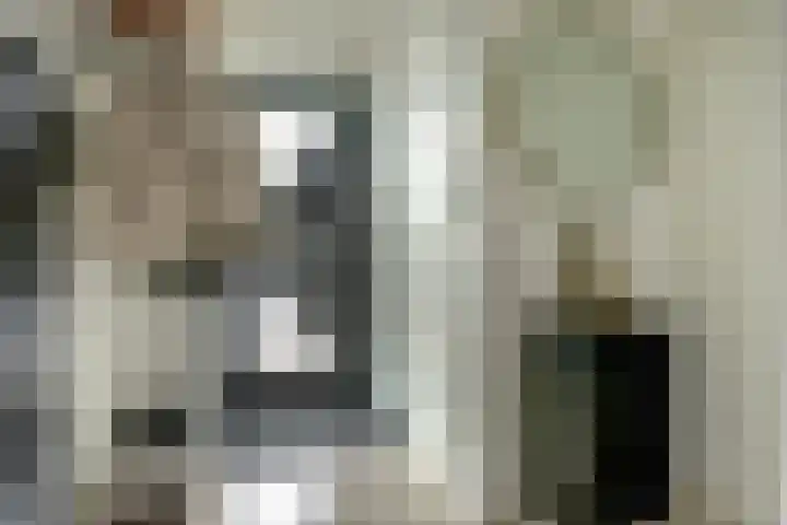Notenhof 30 Schagen thumbnail 17