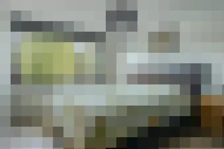 Notenhof 30 Schagen thumbnail 19