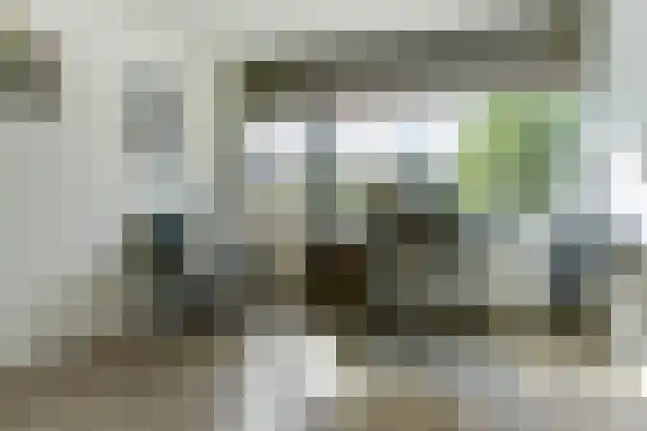 Notenhof 30 Schagen thumbnail 22