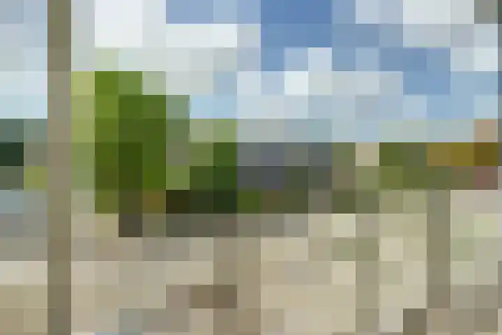 Notenhof 30 Schagen thumbnail 23