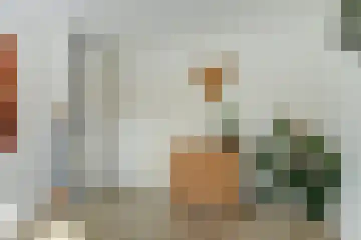 Notenhof 30 Schagen thumbnail 24