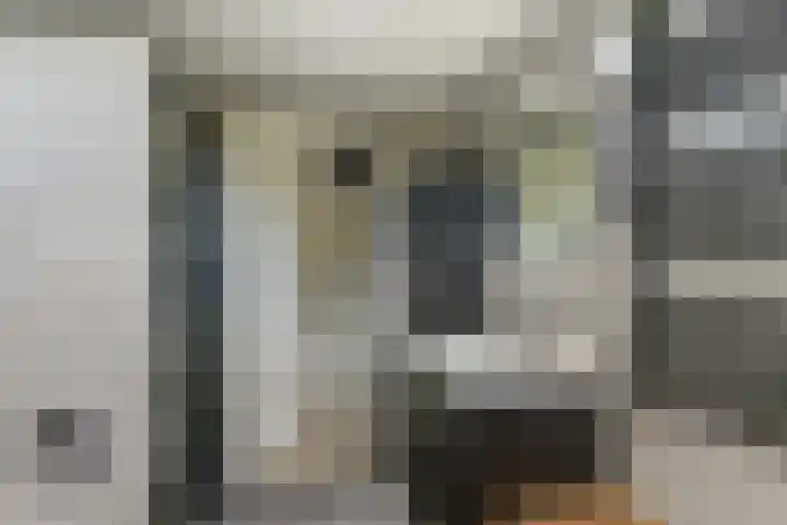 Notenhof 30 Schagen thumbnail 28