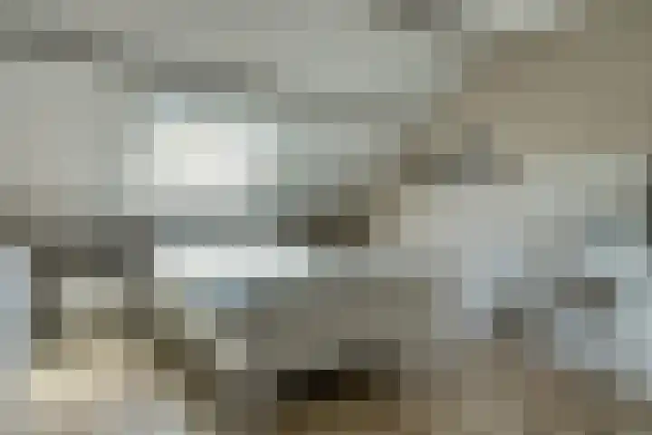 Notenhof 30 Schagen thumbnail 32