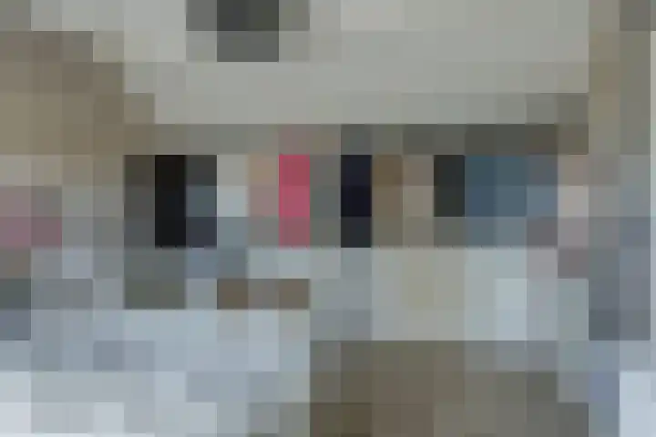 Notenhof 30 Schagen thumbnail 33