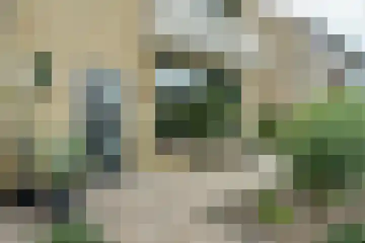 Notenhof 30 Schagen thumbnail 35